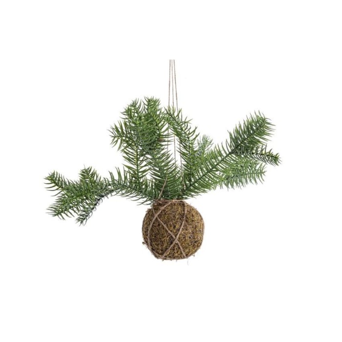 SFERA KOKEDAMA CON PINO D58 VE